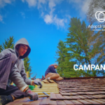 (RO) Cum a fost în 2025 și ce urmează?